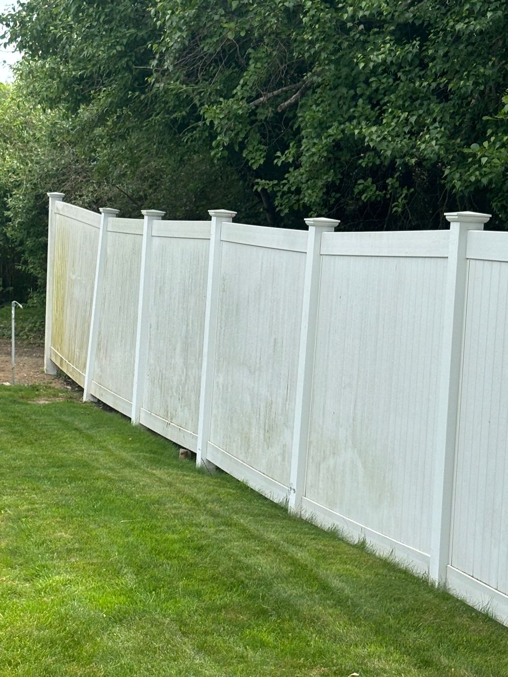 Vinyl fence before pressure washing